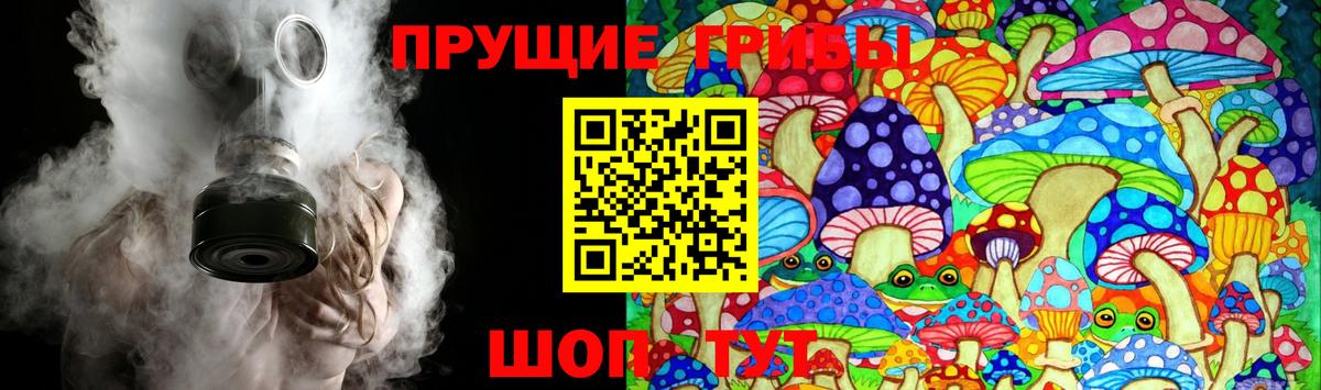 Галлюциногенные грибы Cubensis Кузнецк